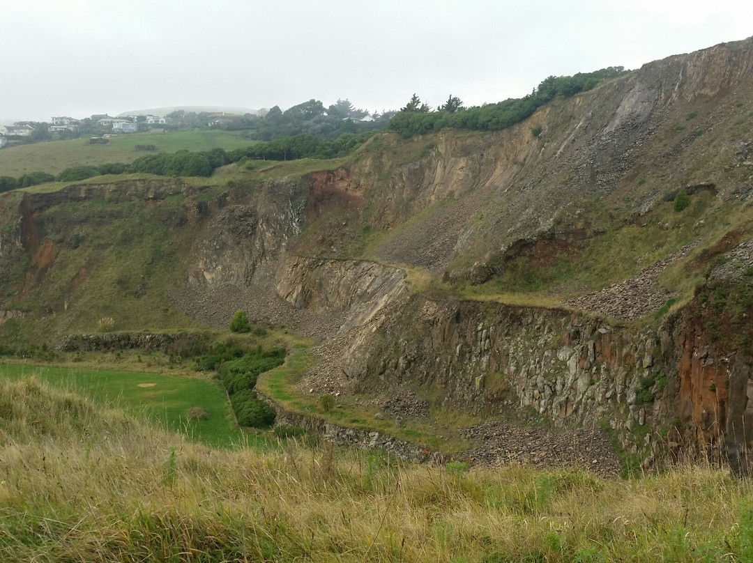 Halswell Quarry Park景点图片