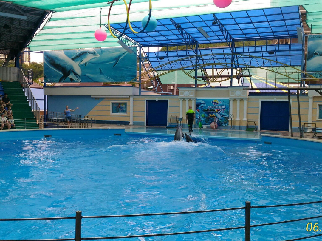Aqua-Mir Dolphinarium景点图片
