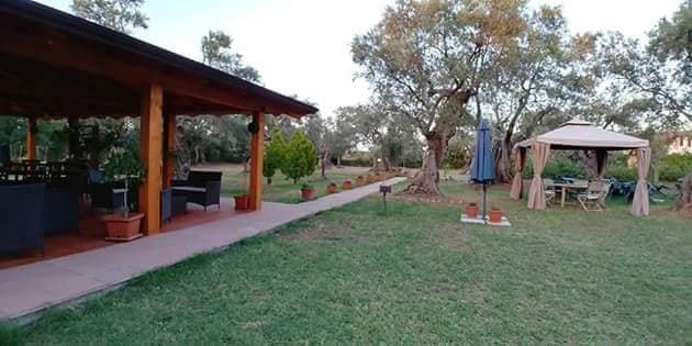 La Piana degli Ulivi主图