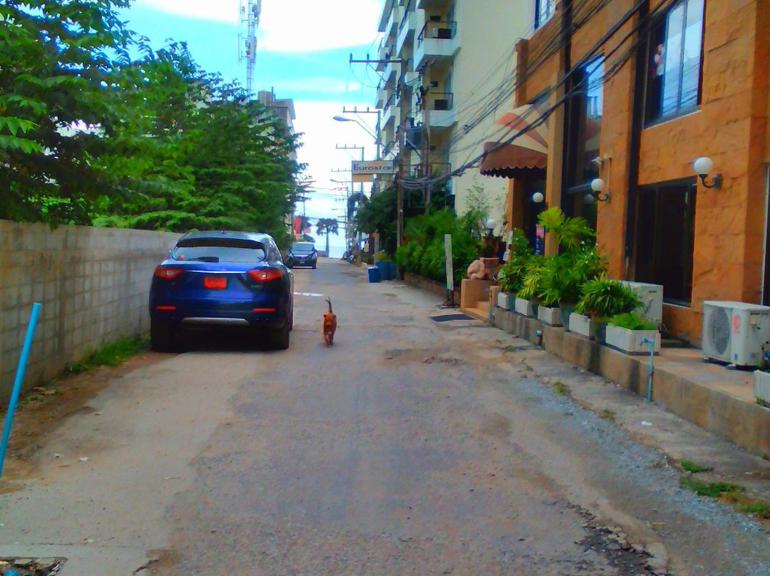 柏德中天酒店主图