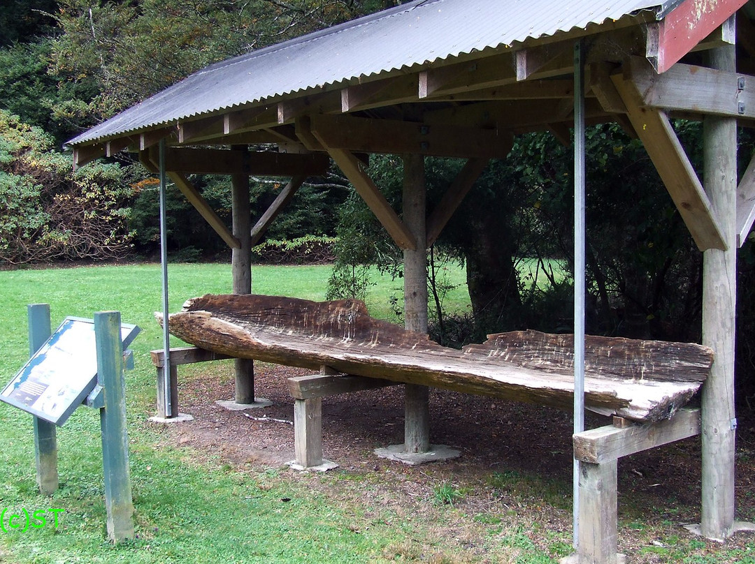 Lake Rotoroa-Murchison必去景点
