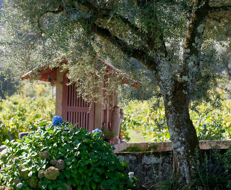 阿巴德斯之家主图