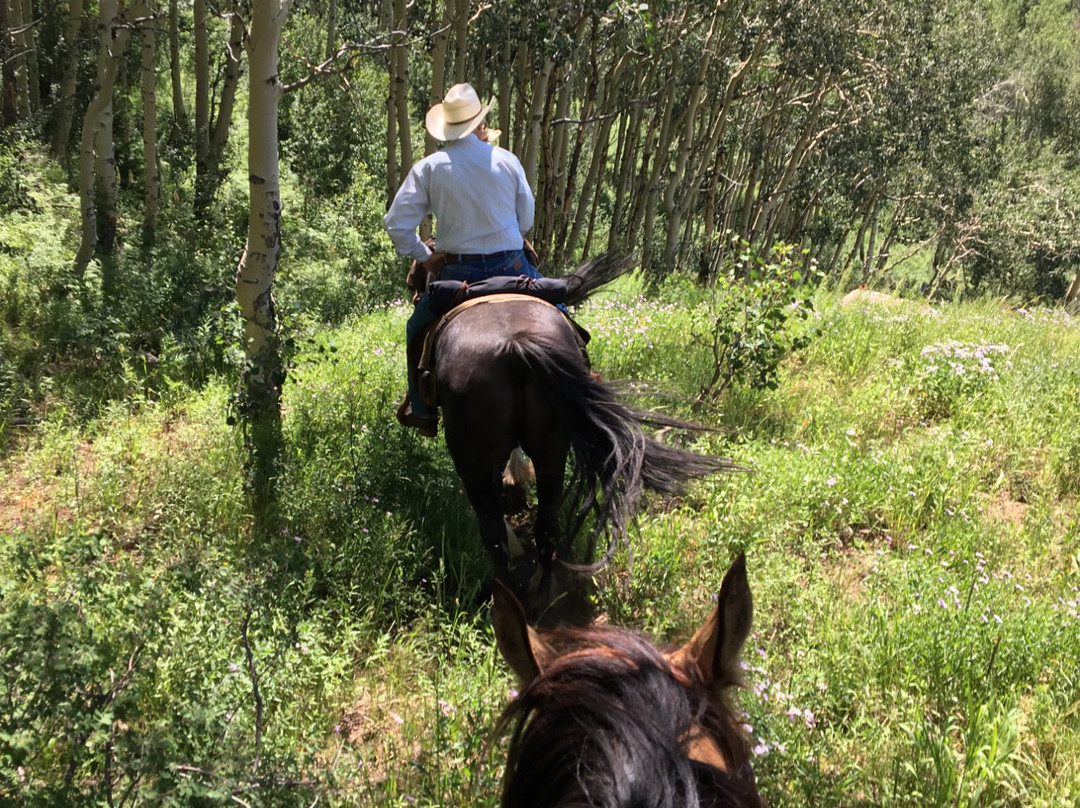 Avalanche Outfitters-Redstone必去景点