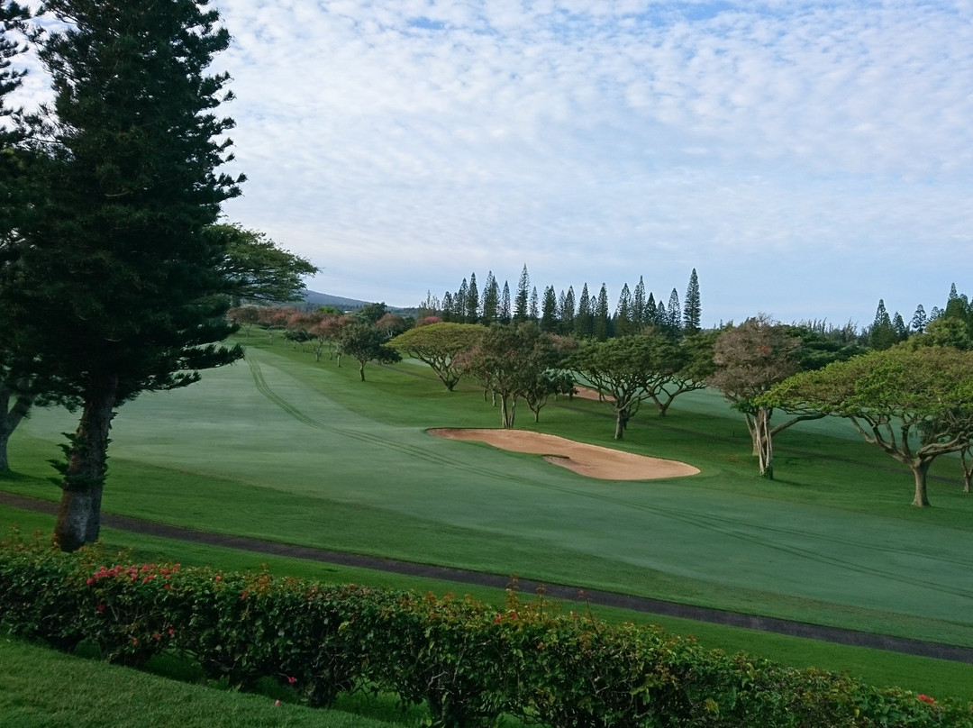 毛伊岛卡普鲁亚别墅公寓式酒店主图