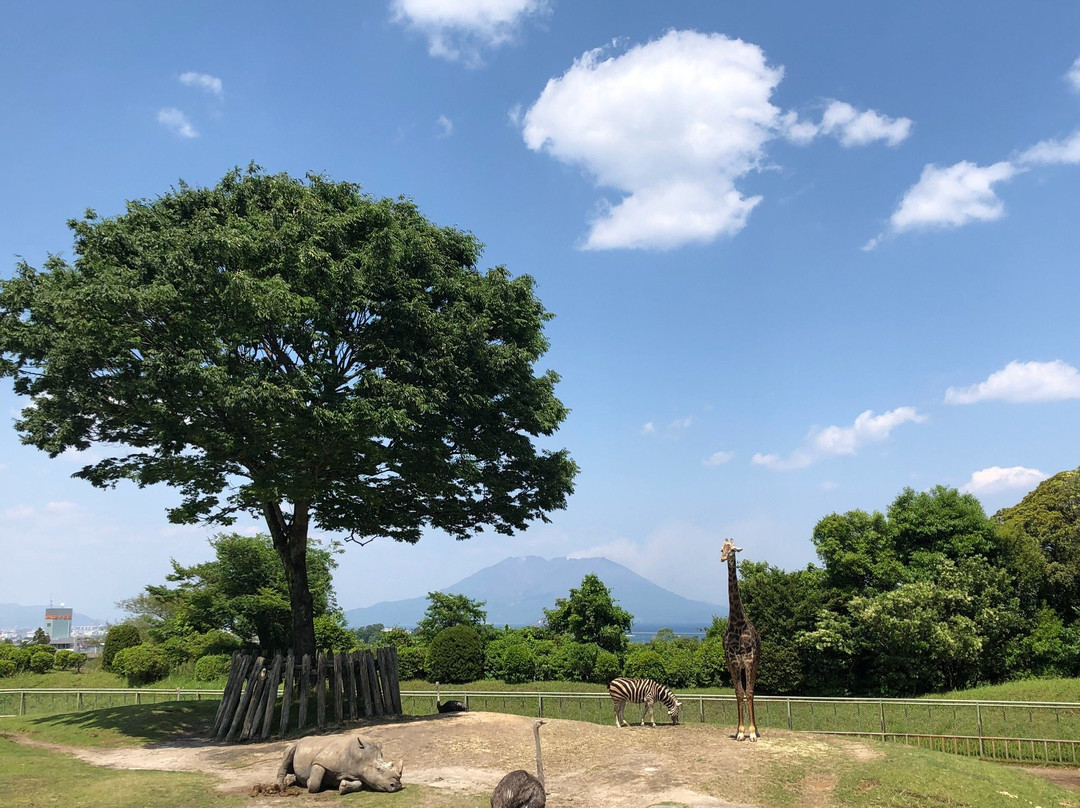 平川动物公园景点图片