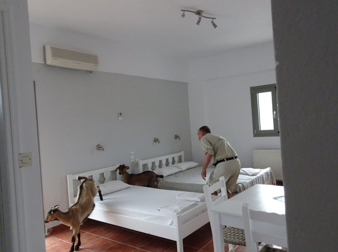 Ambeliotissa Apartments主图