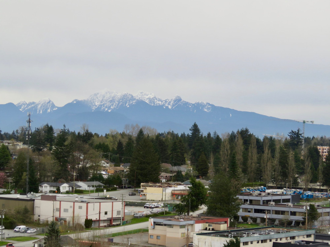 Civic Hotel, Autograph Collection主图