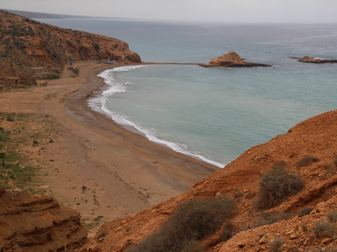 Oriental旅游攻略图片