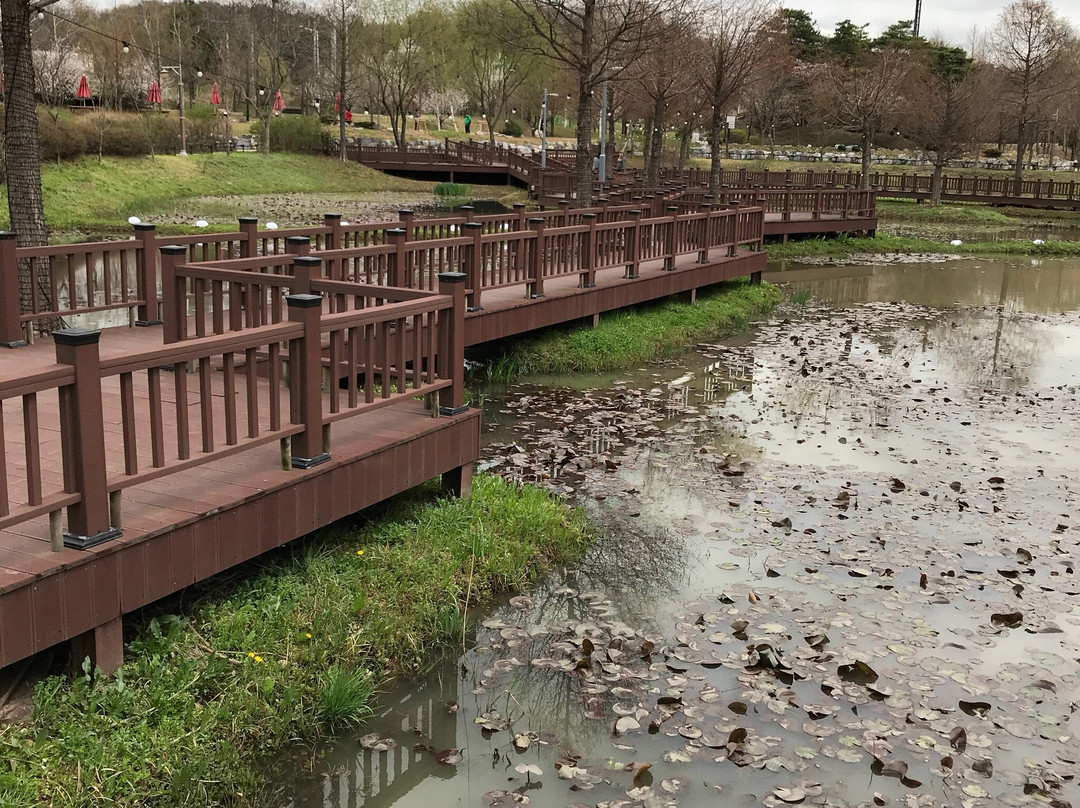 Uiwang Nature Learning Park-义王市必去景点