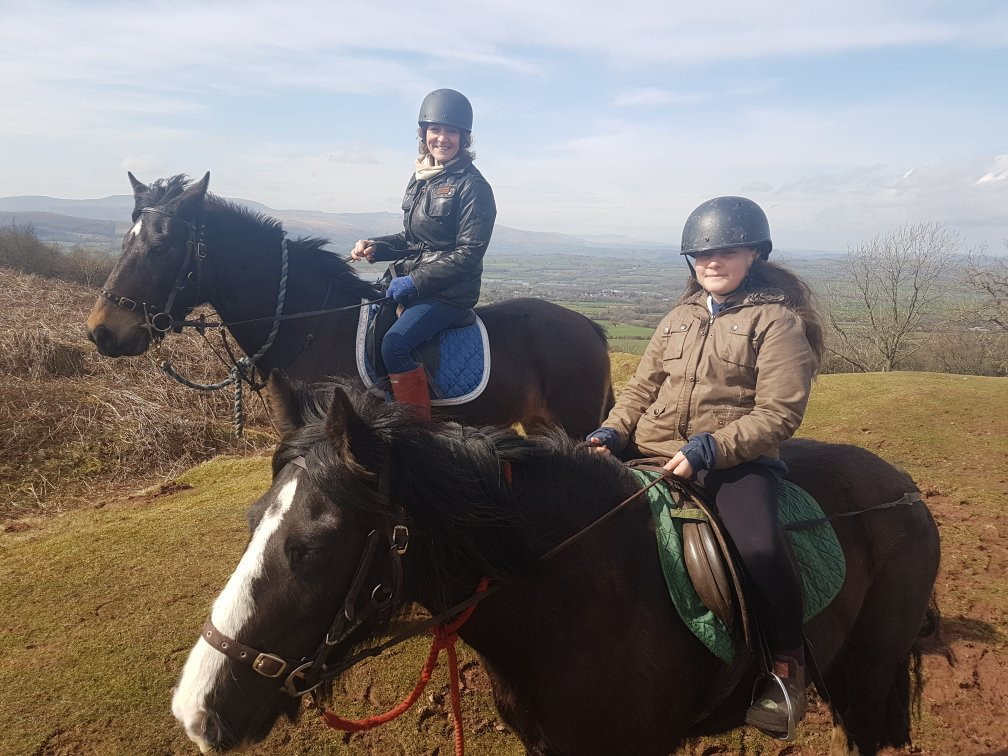 Ellesmere Riding Centre景点图片