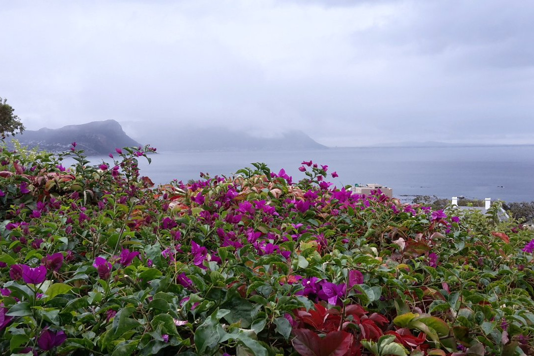 The Cheriton Guest House B&B主图