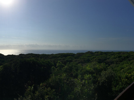 Mseni Beach Lodge主图