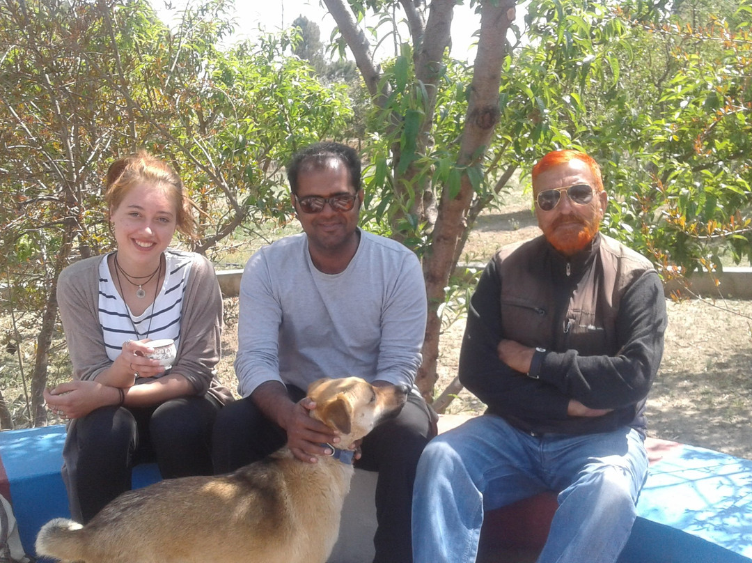 Green Pigeon Cafe And Luxury Home Stay主图