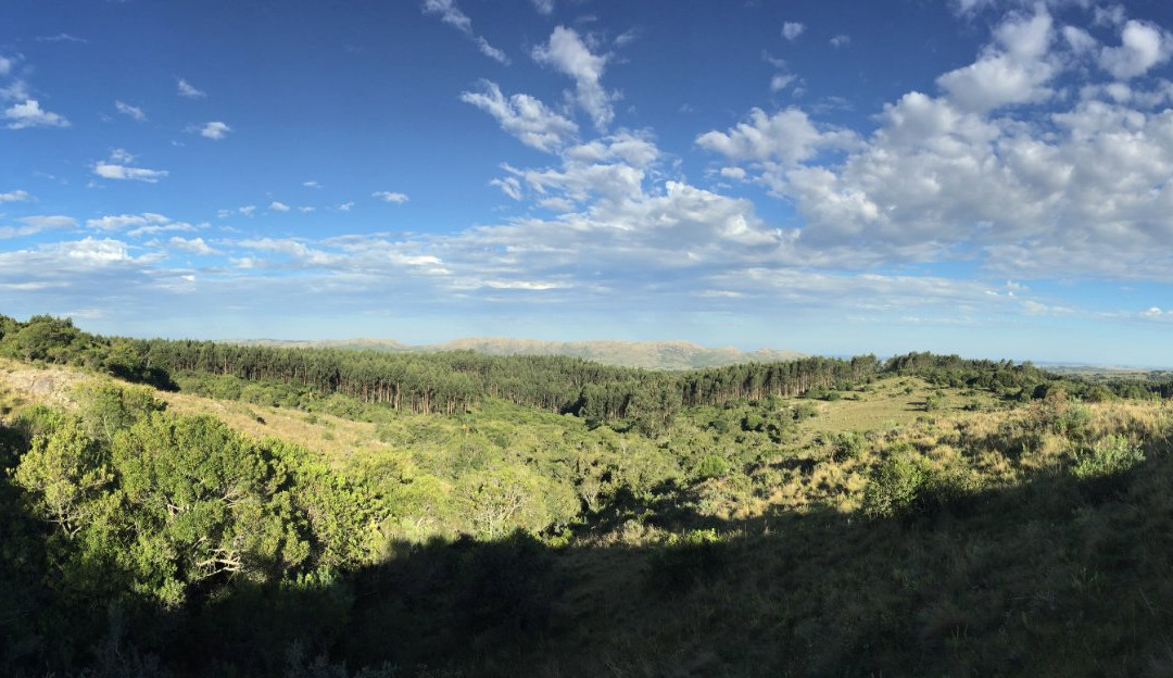 Caballos De Luz-Rocha必去景点