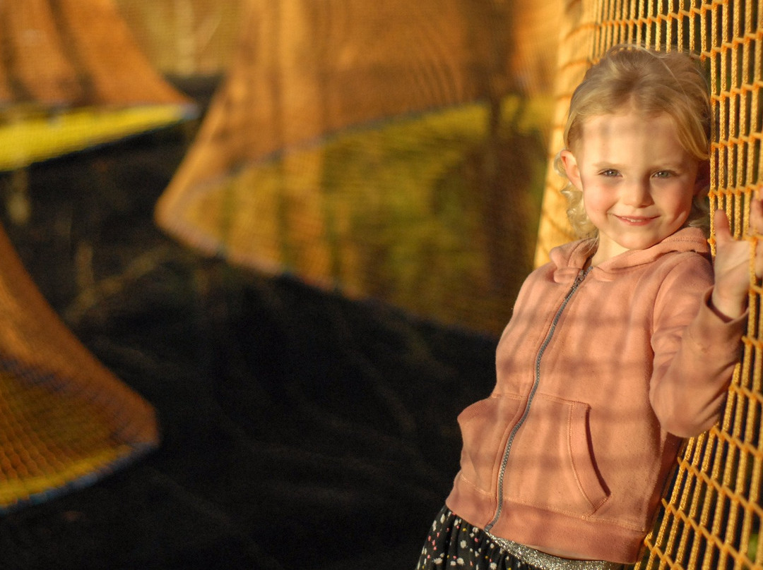 Foret Adrenaline-卡纳克必去景点