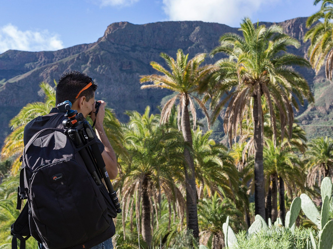 Pentaprisma Photography Workshops-大加那利岛拉斯帕尔马斯必去景点