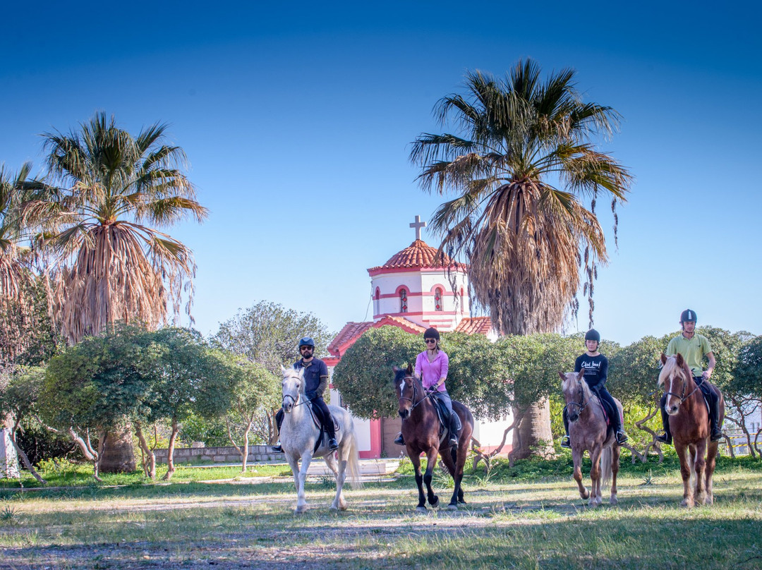 Riding Academy of Crete - Ippikos Riding Club景点图片