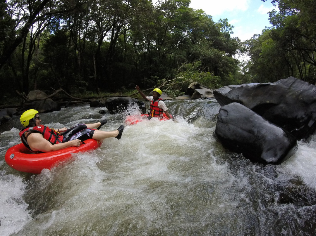 Crowned Eagle Tours and Safaris-雾观必去景点