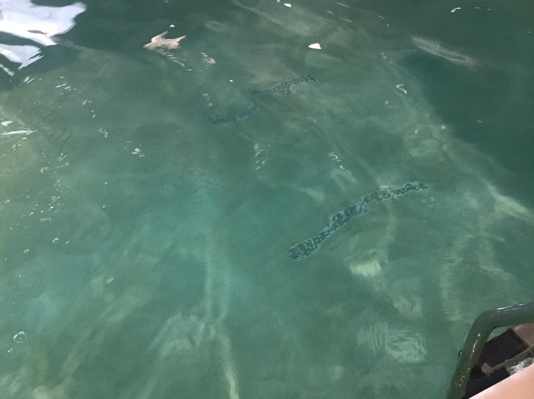 Holiday Inn Express & Suites Utica by IHG主图