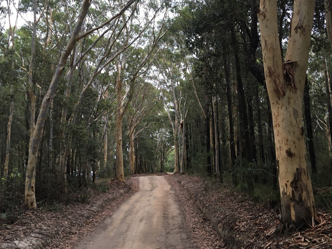 Meroo National Park景点图片