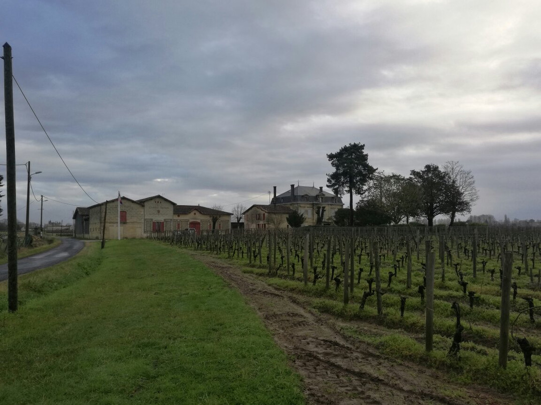 Chateau Clos Saint Emilion Philippe-圣埃美隆必去景点