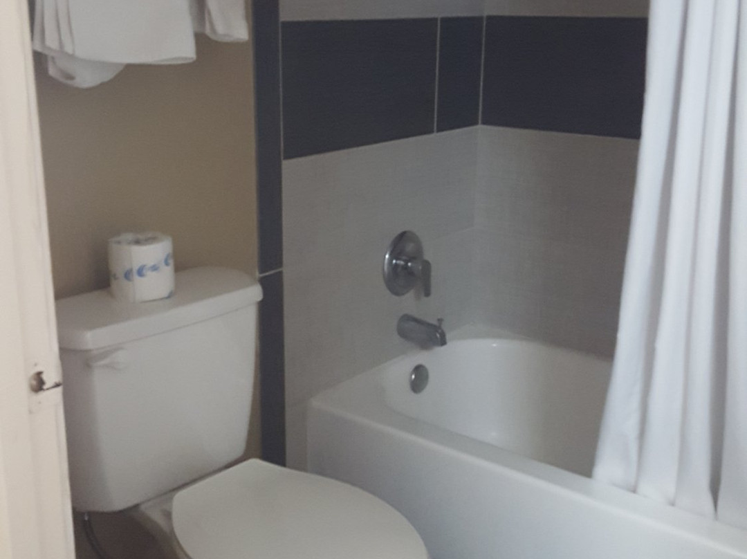 Super 8 by Wyndham Kingsville主图