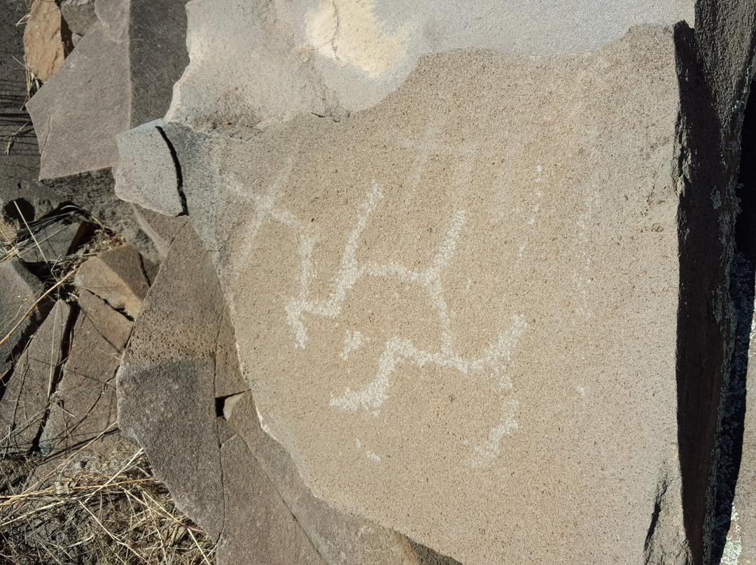 D.D. Gamble Guest Lodge and Ranch主图