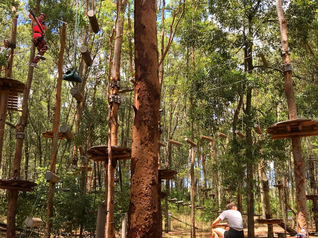 TreeTops Newcastle景点图片