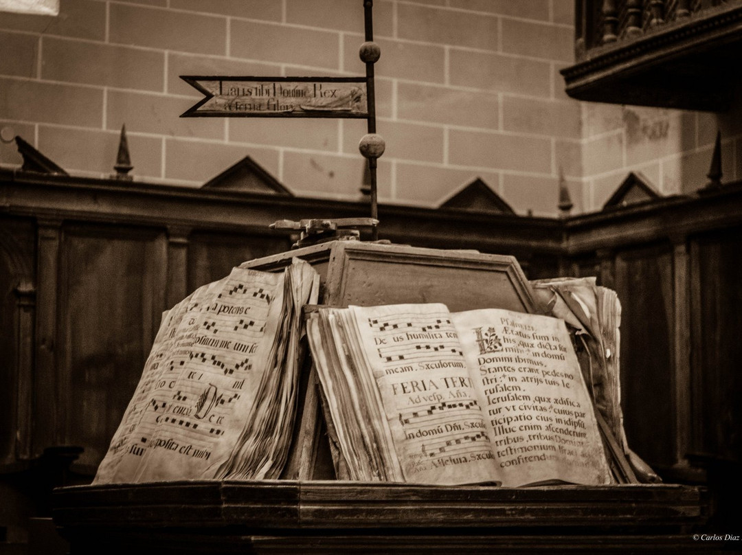 Viajar Por Aragon景点图片