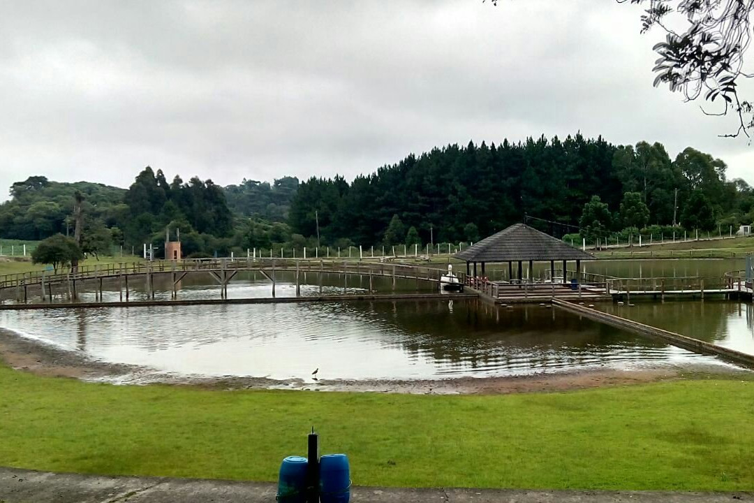 Arvorezinha旅游攻略图片