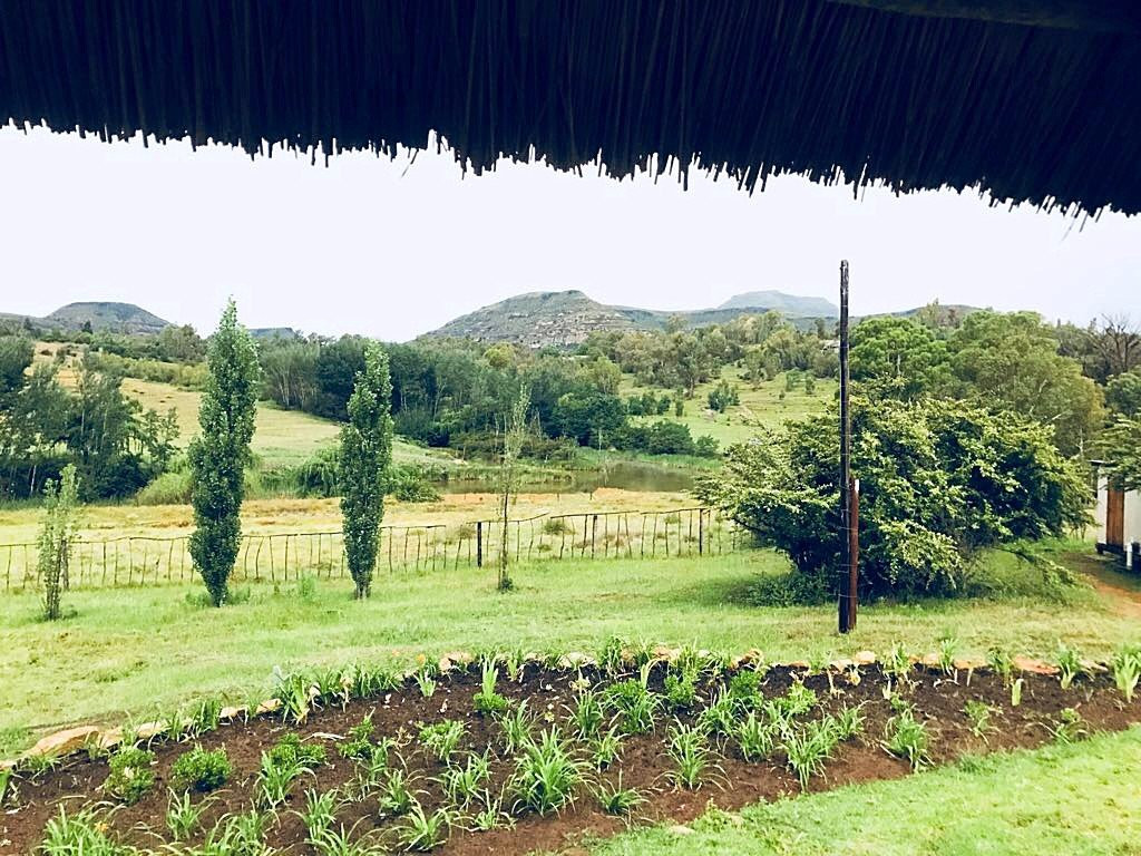 Ventersberg Stables-Fouriesburg必去景点