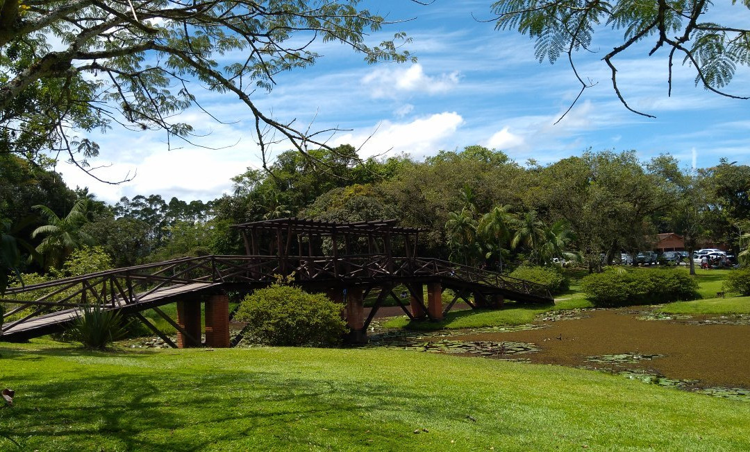 Timbó Botanical Garden景点图片