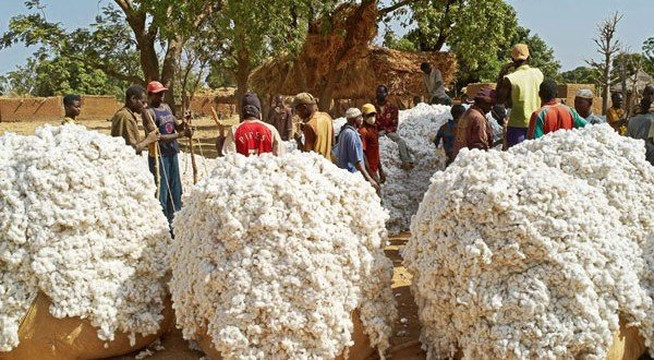 Koutiala旅游攻略图片