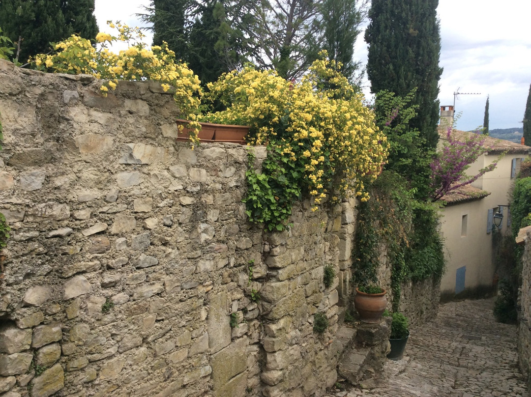 Saint-Marcellin-les-Vaison酒店住宿-Annapurna B&B