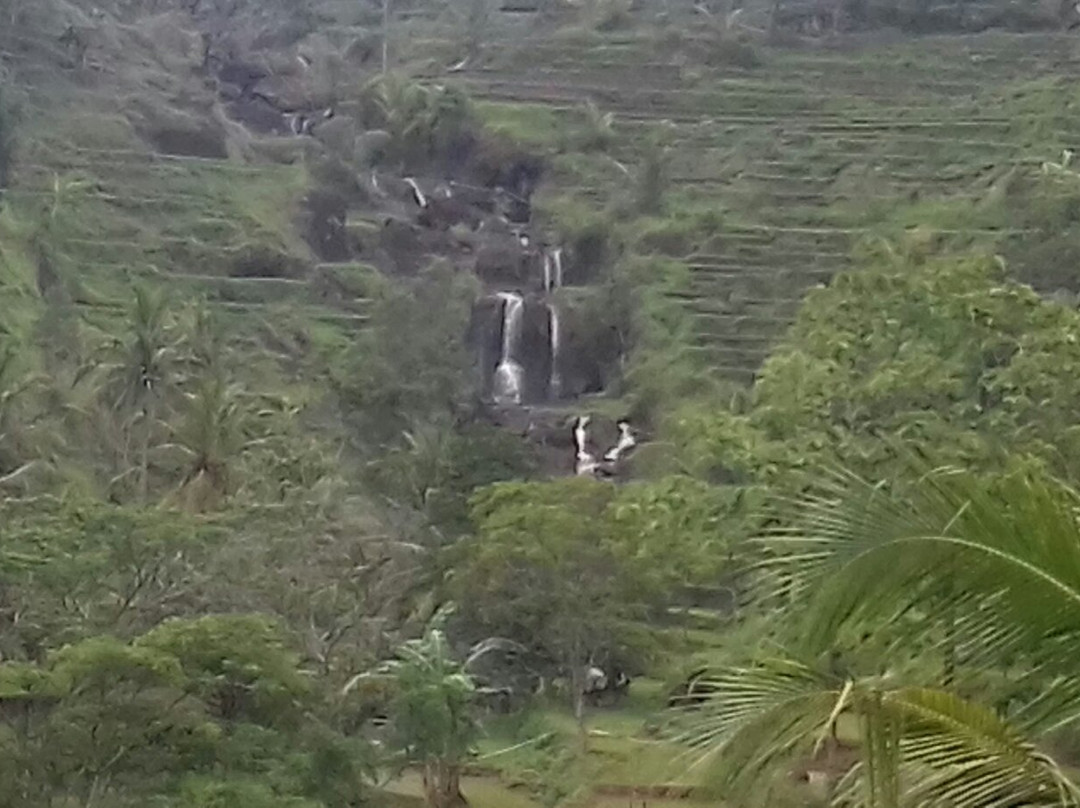 Kedung Kandang Waterfall景点图片