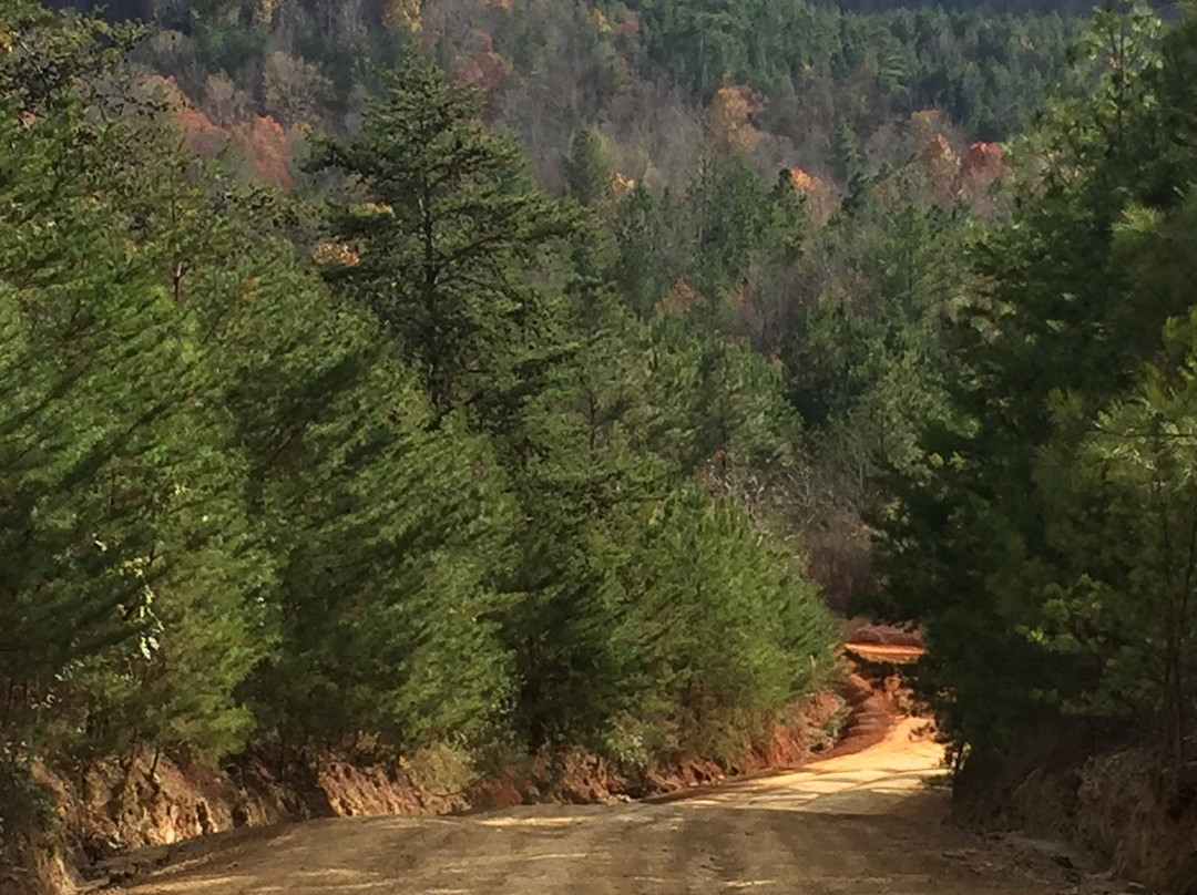 Stony Lonesome OHV Park景点图片