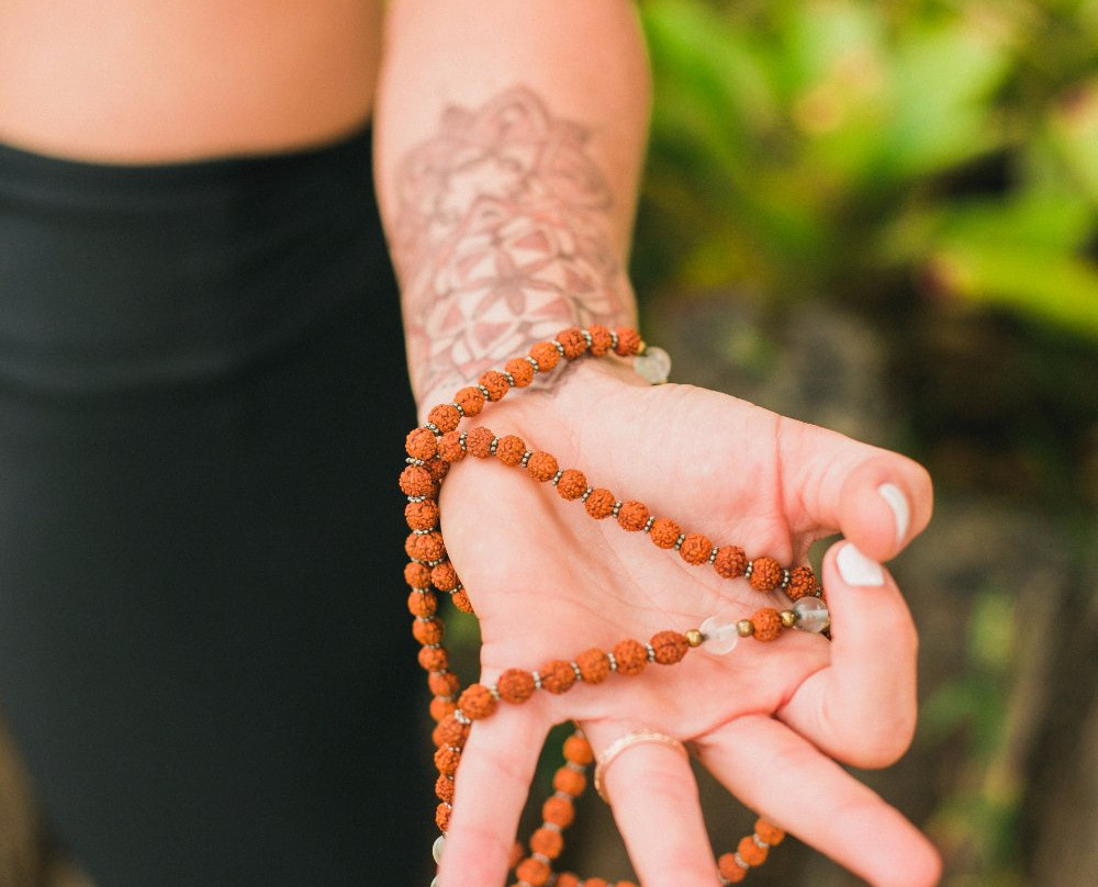 Rooted Flight-海库必去景点