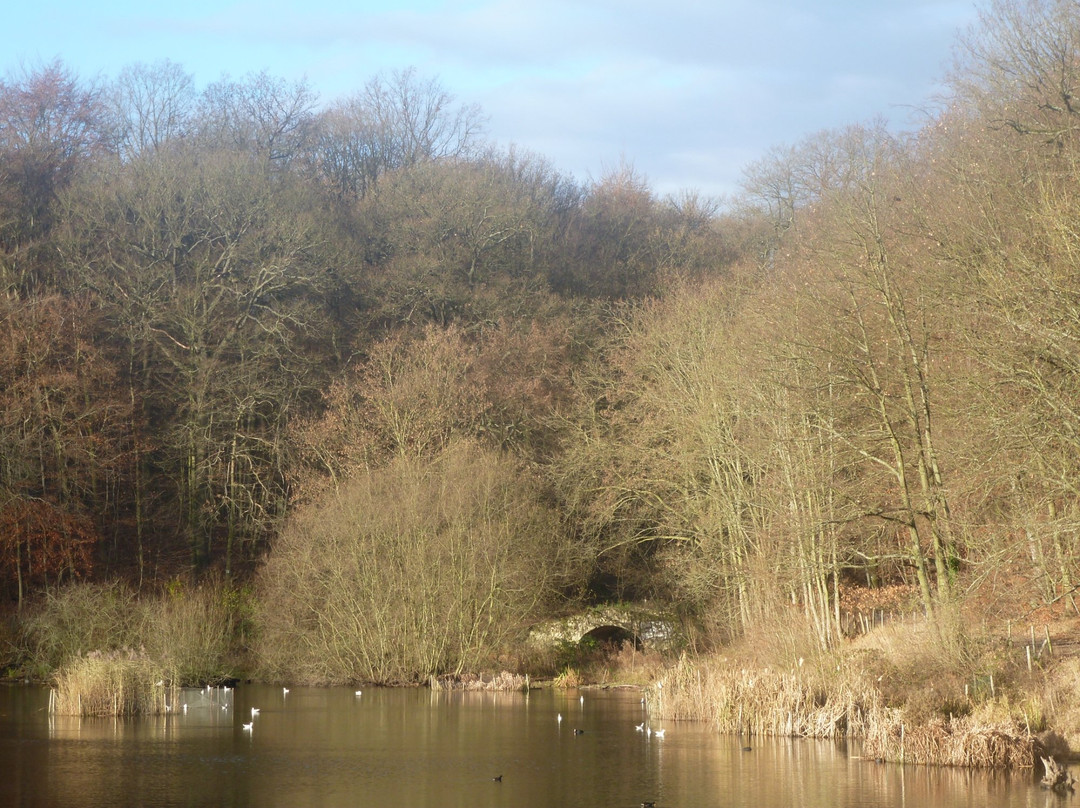 Forêt Domaniale de Meudon-默东必去景点