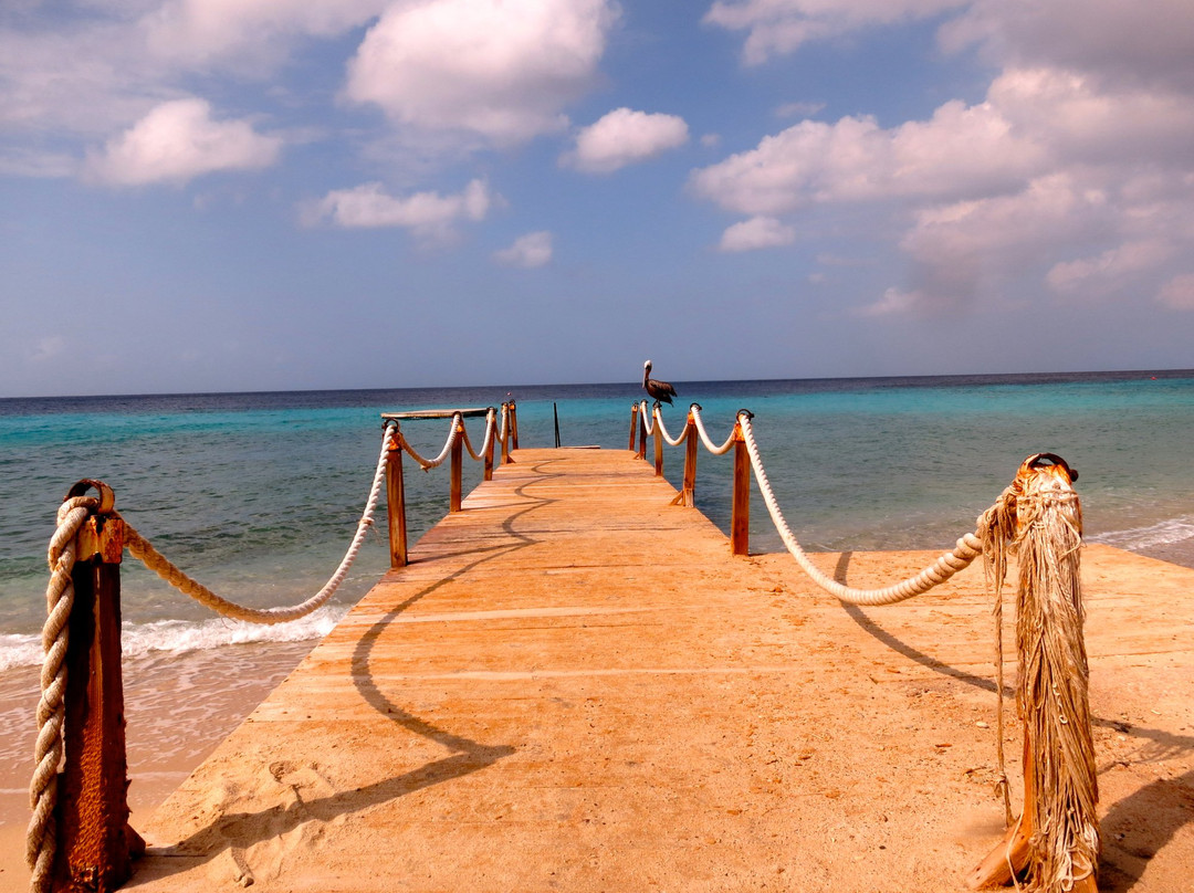 Central Dive Curacao-威廉斯塔德必去景点