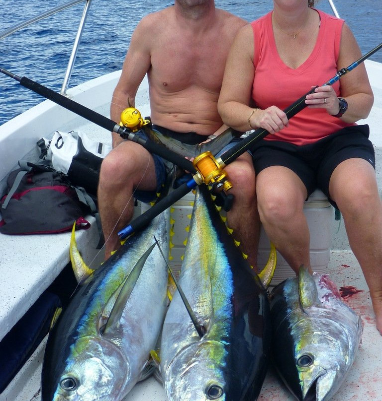 Makaira Resort Fishing-马太必去景点