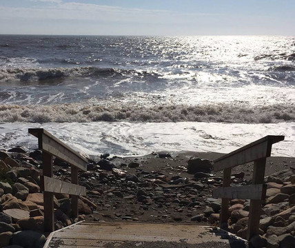 Go Fundy Tours-圣约翰必去景点