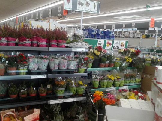 Lidl-福洛尼卡必去景点