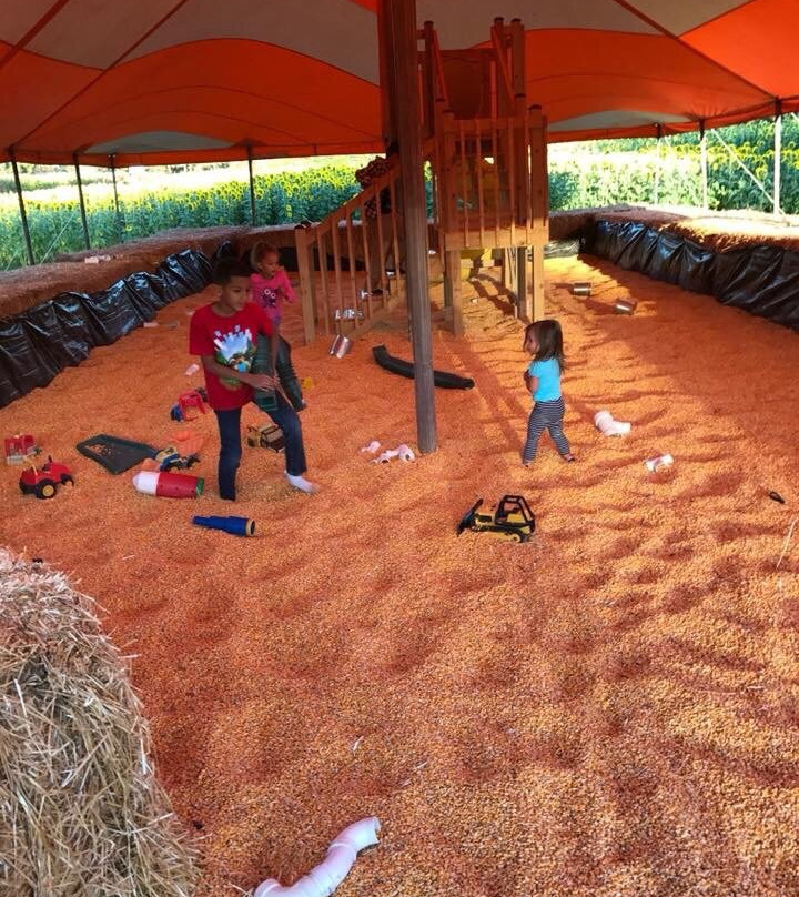 Paulus Farm Market-梅卡尼克斯堡必去景点