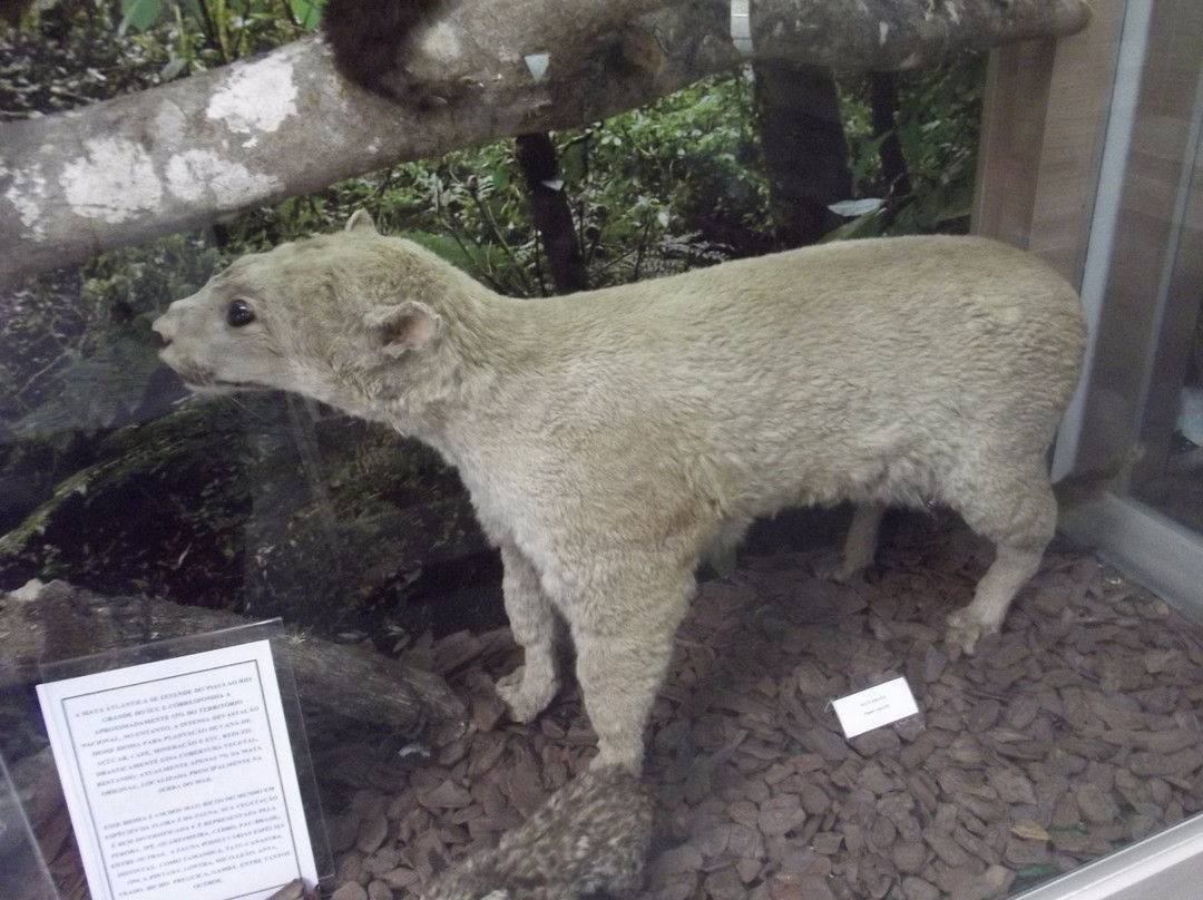 Centro de Educacao Ambiental Gralha Azul