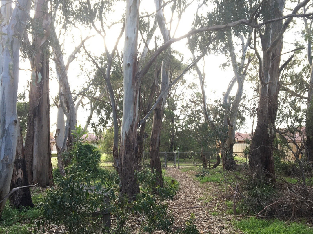 coomoora Woodland Reserve-Keysborough必去景点
