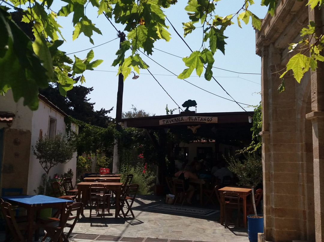 Platania餐馆和美食-Theano Taverna