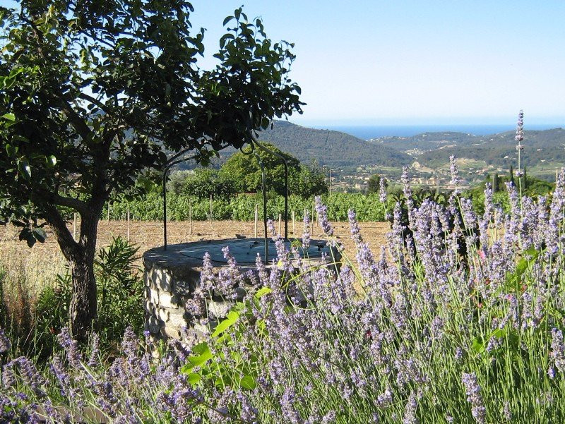 Maison des Vins de Bandol景点图片