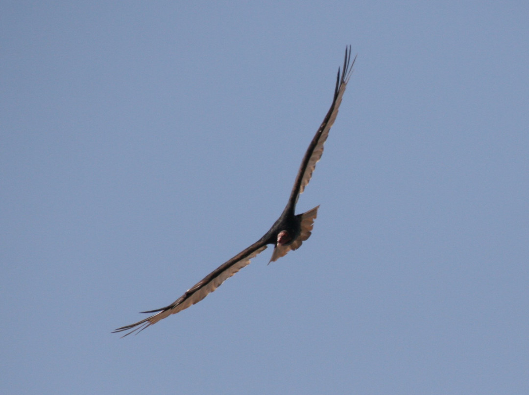 Stillwater National Wildlife Refuge景点图片