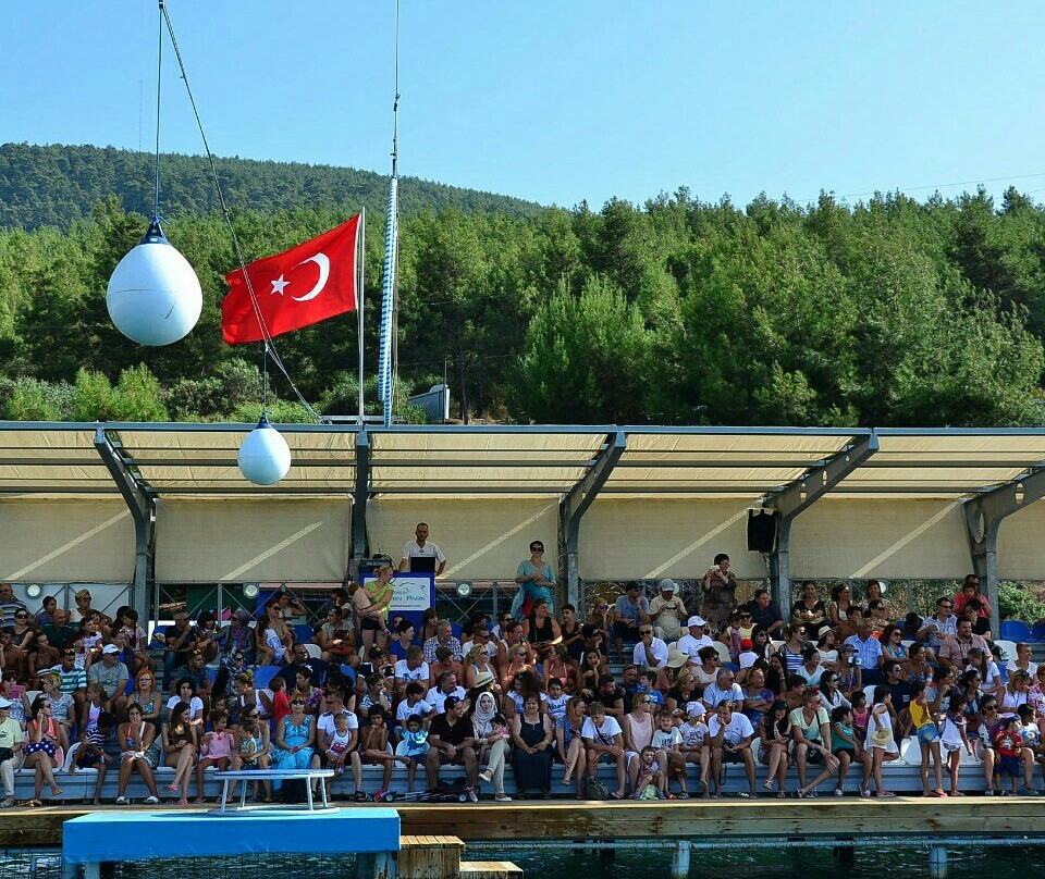 Bodrum Dolphin Park - Yunus Gösteri Merkezi景点图片