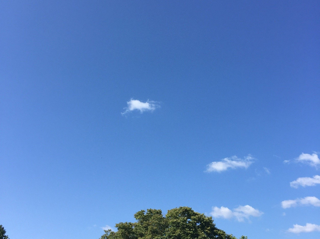 Aichi Greenery Center-丰田市必去景点